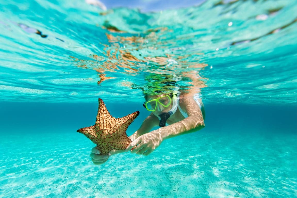 Caribbean