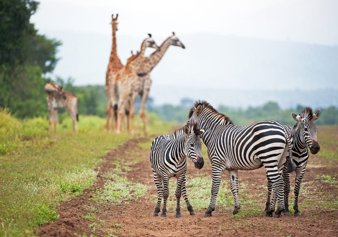 Malawi