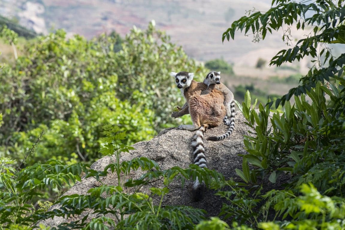 Madagascar